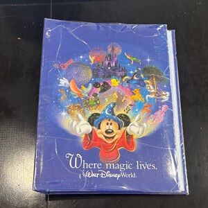 Disney Enchanted Celebration Invitations - Blue and Red